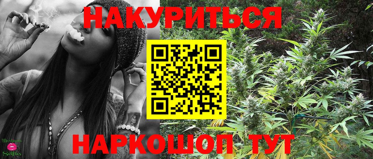 Конопля OG Kush Богородск